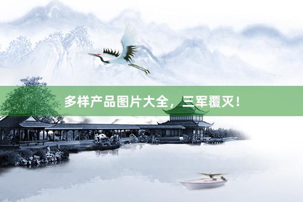 多样产品图片大全，三军覆灭！