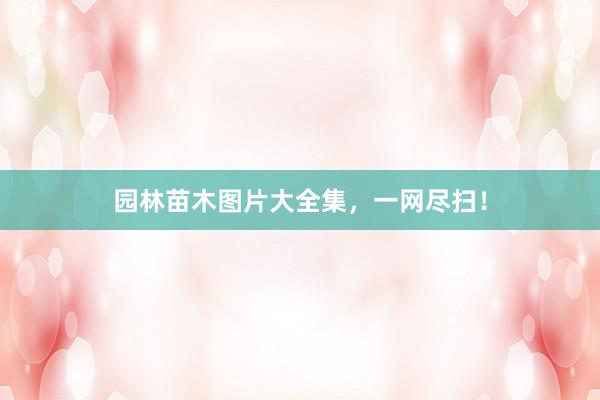 园林苗木图片大全集，一网尽扫！