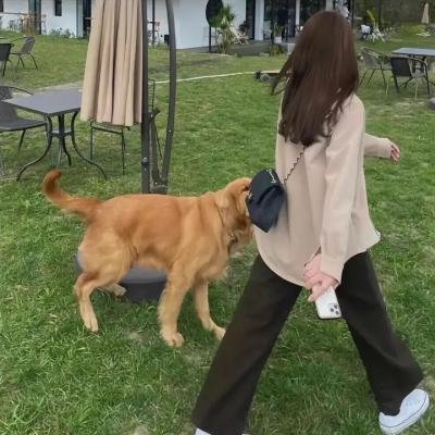蓝色比尔街的沉默
